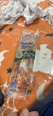 Cream Cheese Chives Crackers (6 ct)